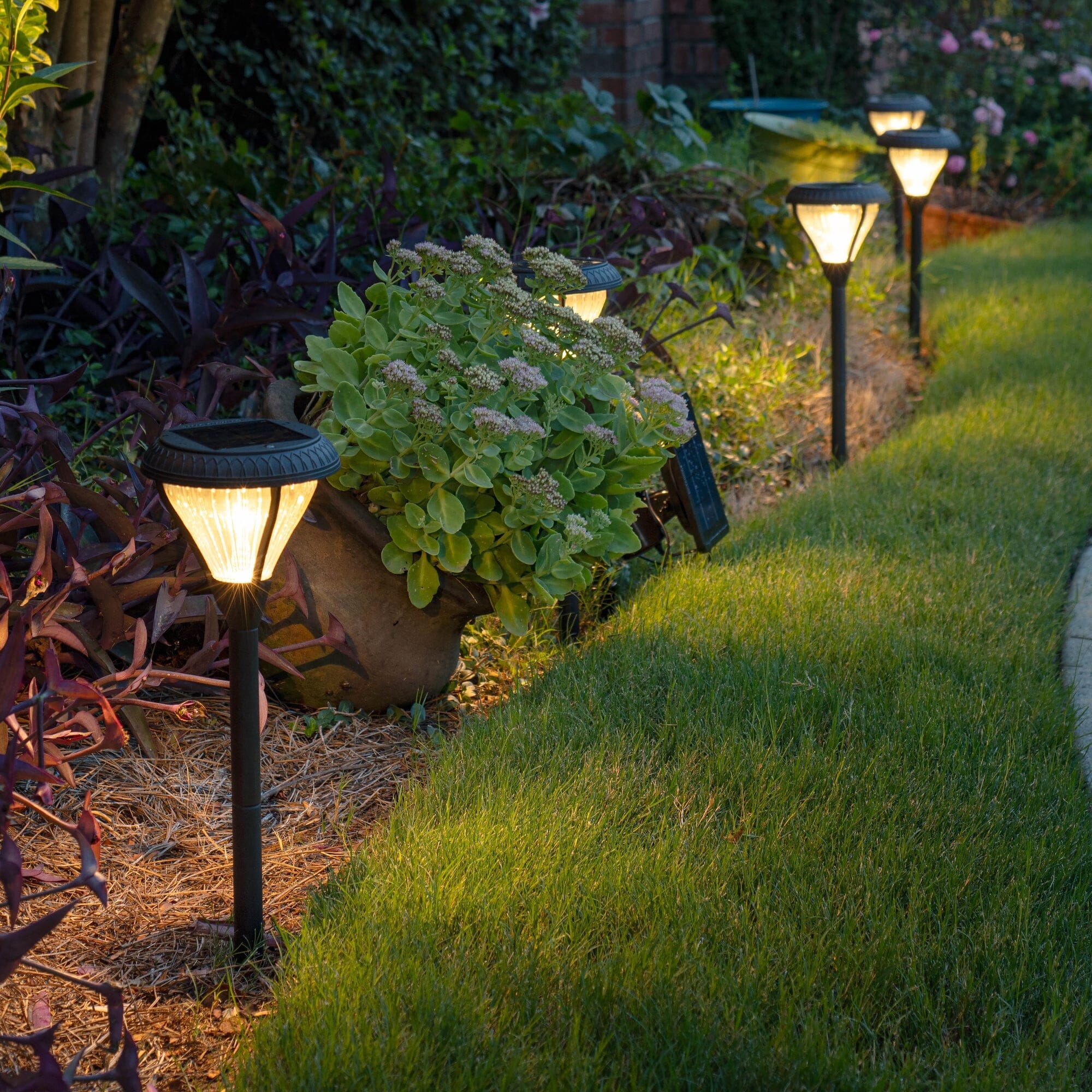 Bright white on sale solar lights